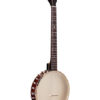 gold tone bt-2000 6 string banjo