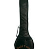 gold tone hcc mini banjo bag