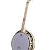 goodtime 2 dropkick murphys 19 fret tenor banjo