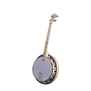 goodtime 2 dropkick murphys 19 fret tenor banjo