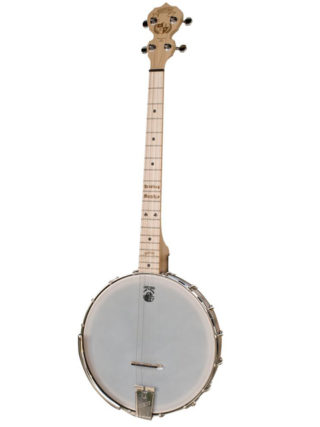goodtime dropkick murphys 19 fret tenor
