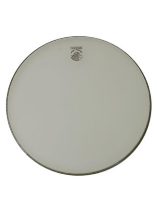 deering reniassance banjo head