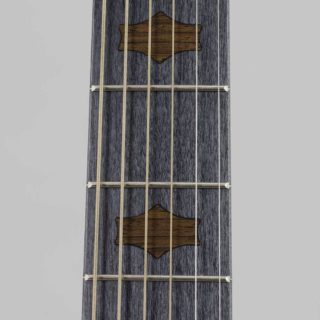 deering goodtime six resonator