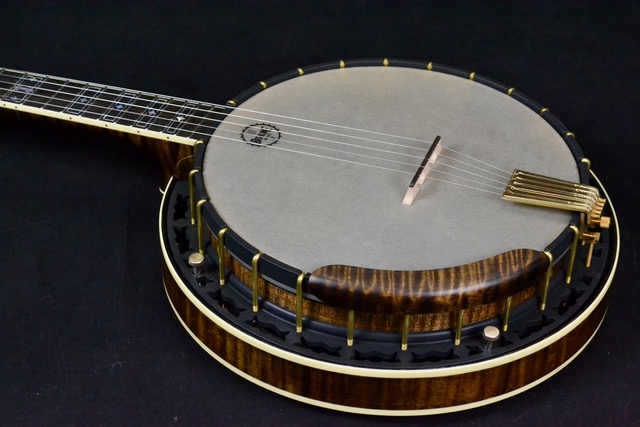 best 5 string banjo for beginners