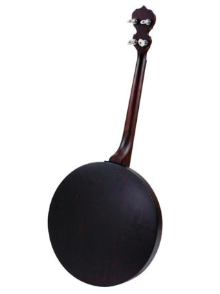 Deering Artisan Goodtime Special 17-Fret Tenor Banjo