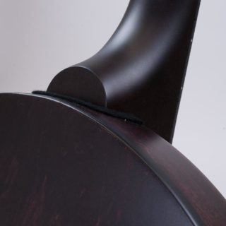 Deering Artisan Goodtime Special 17-Fret Tenor Banjo