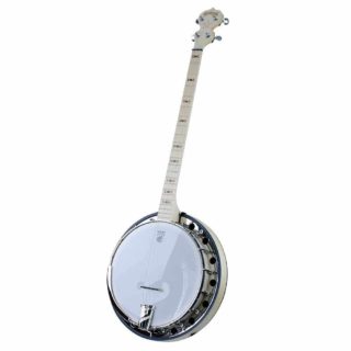 deering goodtime 2 plectrum banjo