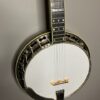 1996 stelling sunflower banjo
