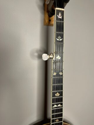 2003 stelling red fox banjo