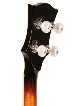 gold tone ob 2 bowtie banjo