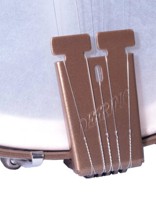 goodtime americana deco - deering 5 string banjo