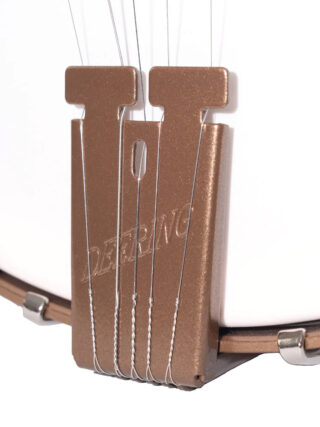 deering goodtime deco 5 string openback banjo