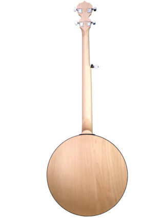 goodtime special deco deering 5 string banjo