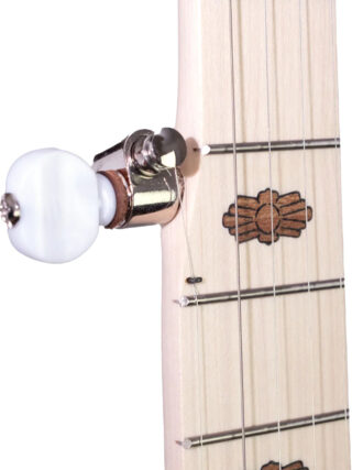 goodtime special deco deering 5 string banjo