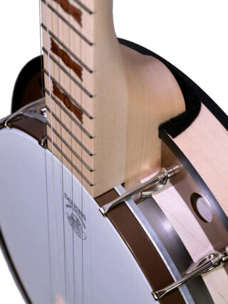 goodtime special deco deering 5 string banjo