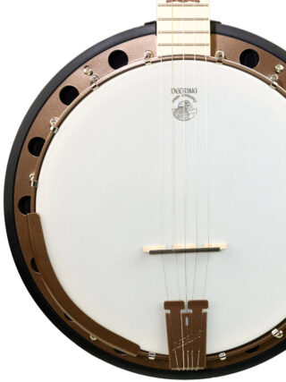 goodtime special deco deering 5 string banjo