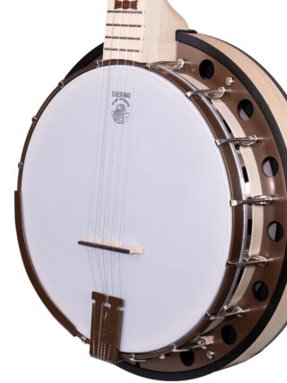 goodtime special deco deering 5 string banjo