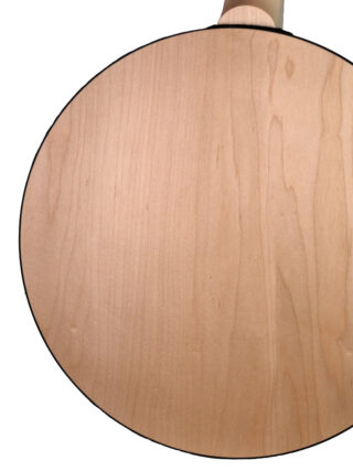 goodtime special deco deering 5 string banjo