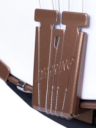 goodtime special deco deering 5 string banjo