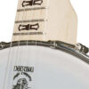 deering goodtime 19-fret tenor banjo