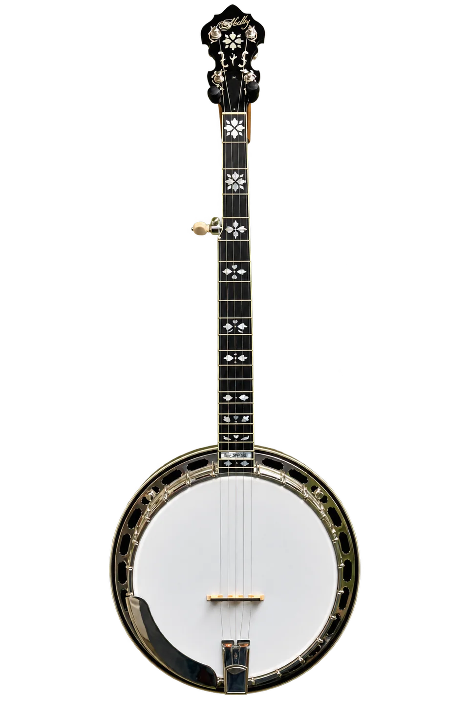 Shelby ES Special banjo, full instrument, nickel hardware