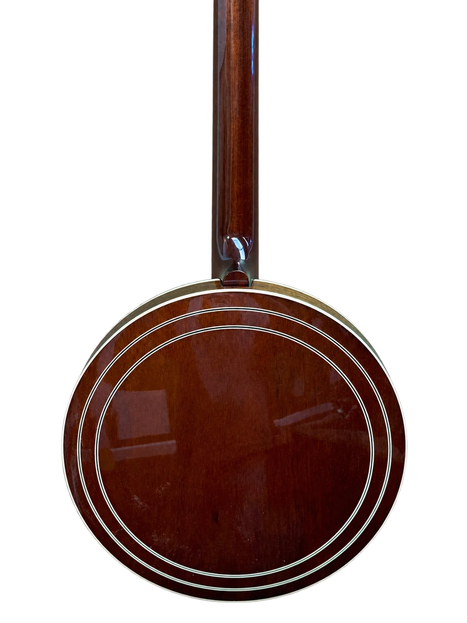 Shelby Whitewater - Image 2