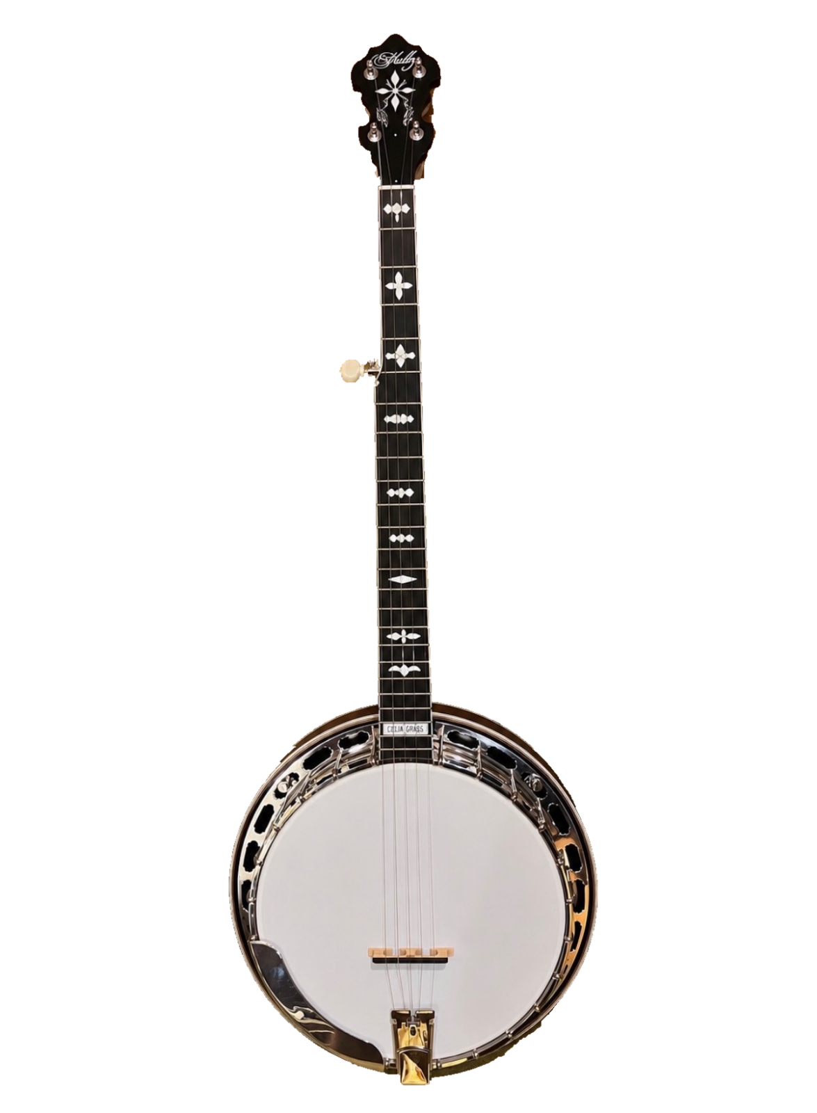 Shelby Delta Grass banjo, full front view shared by the Maple and Mahogany models
